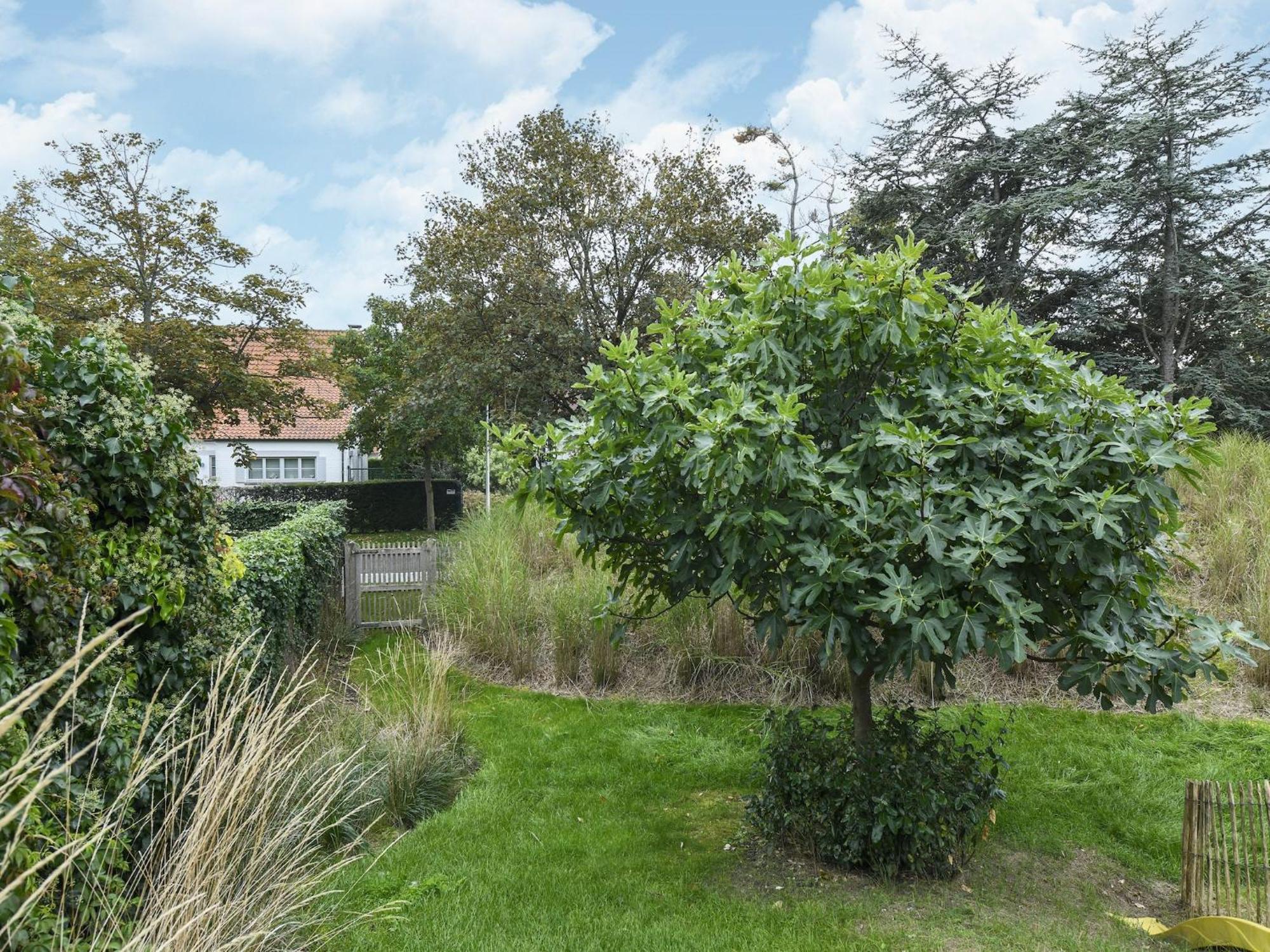 Beautiful With A Location * Nieuport
